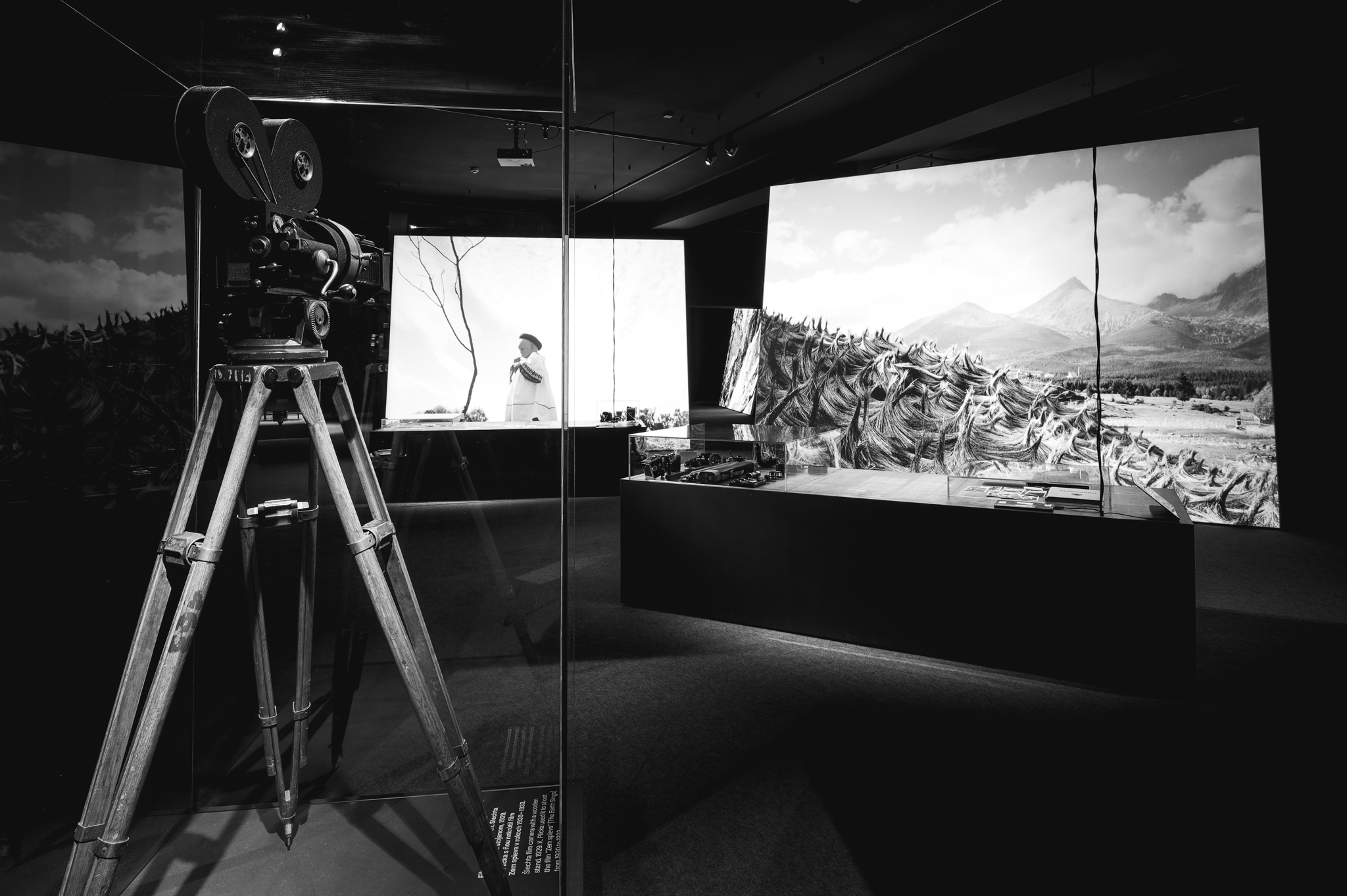 NZ6 2305 DxO DeepPRIME XD2s